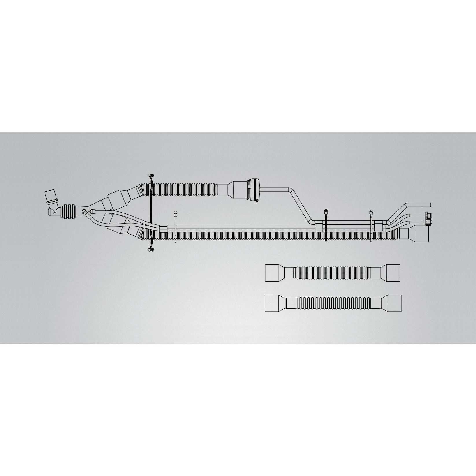Carefusion / Vyaire-CareFusion ReVel™ Adult Patient Circuit w/Out PEEP, 15mm SPU 10/CS-MedTech-1